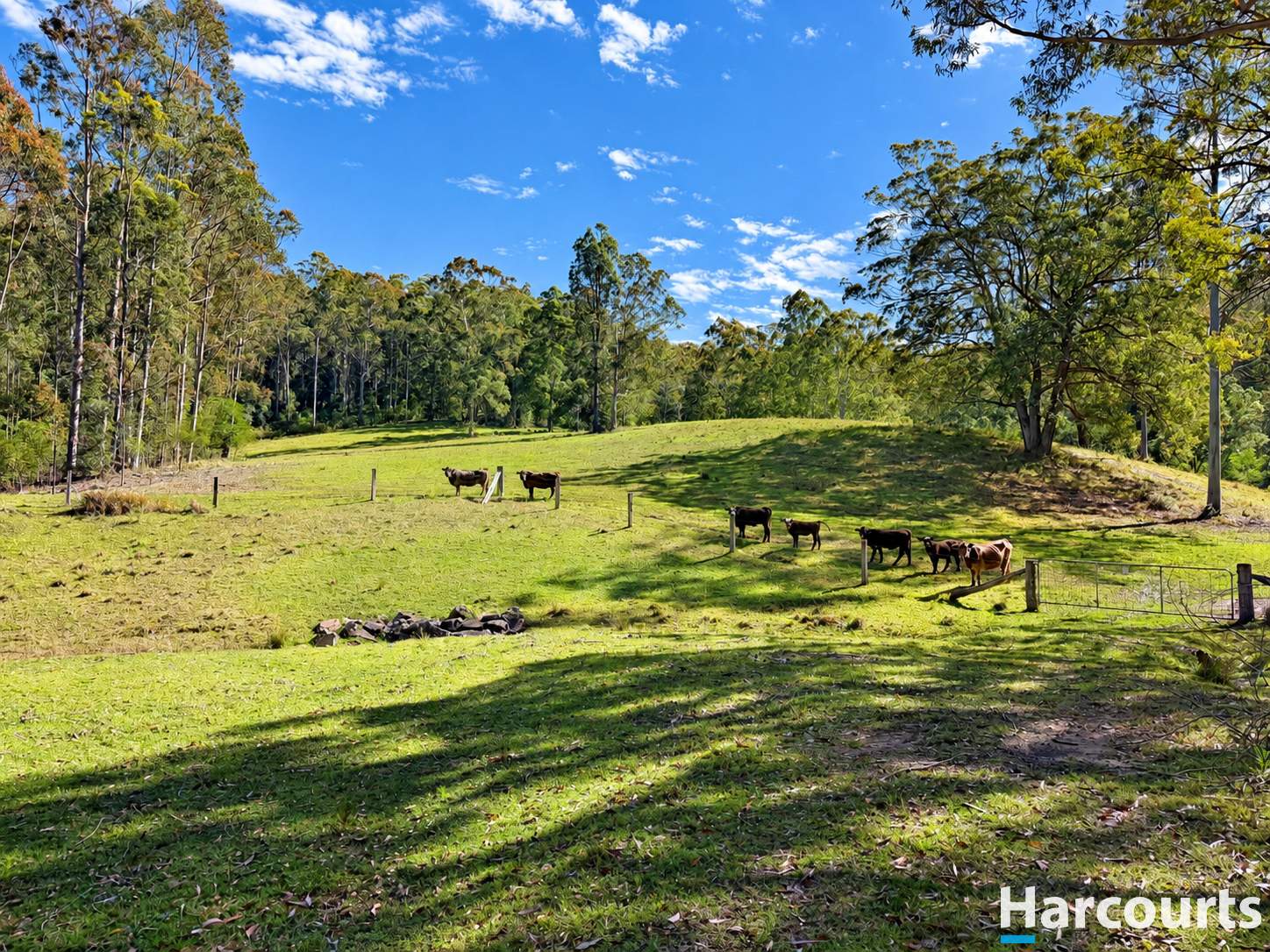 190 Julia Road, Booral For Sale by Farmbuy.com - image 25