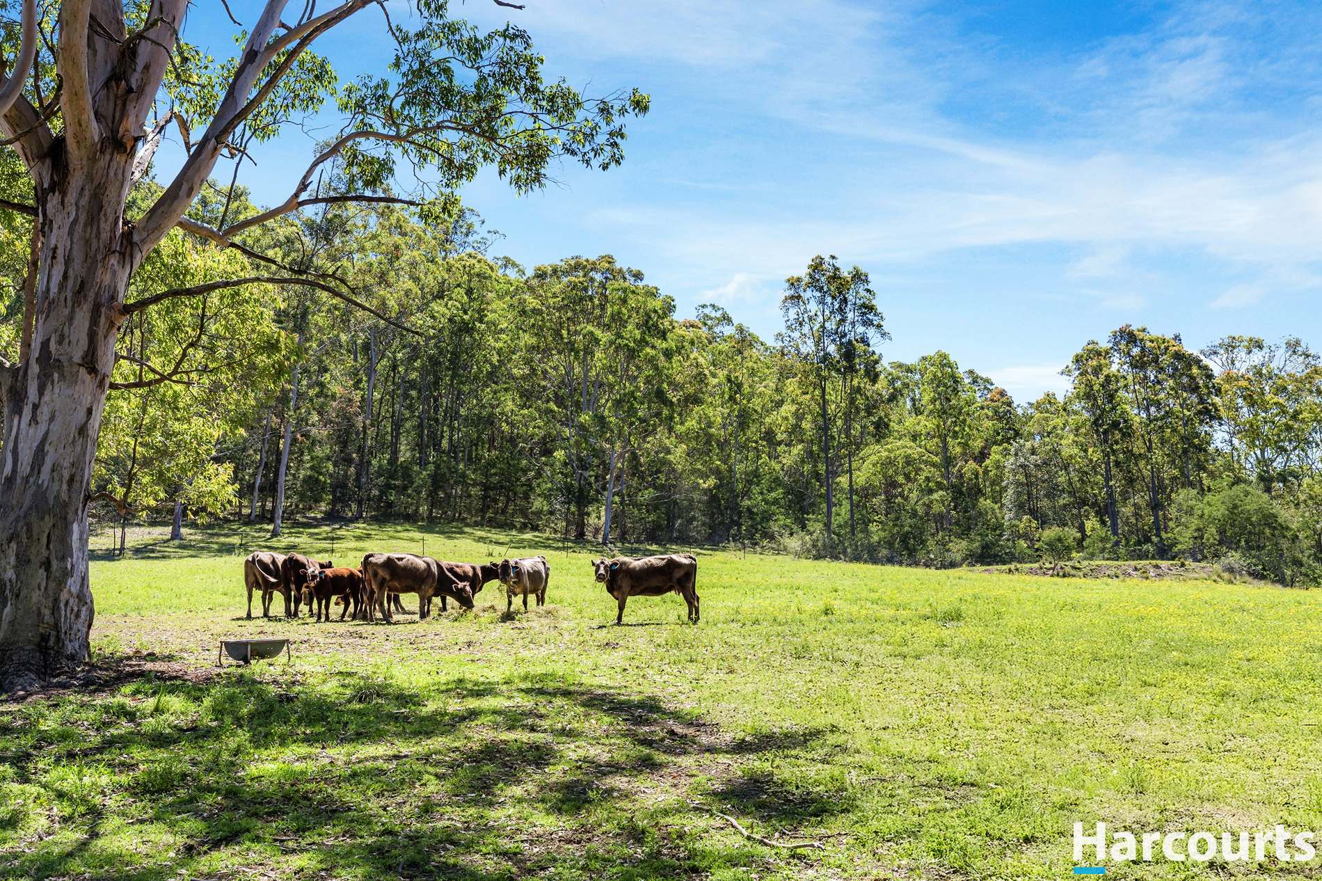 190 Julia Road, Booral For Sale by Farmbuy.com - image 27