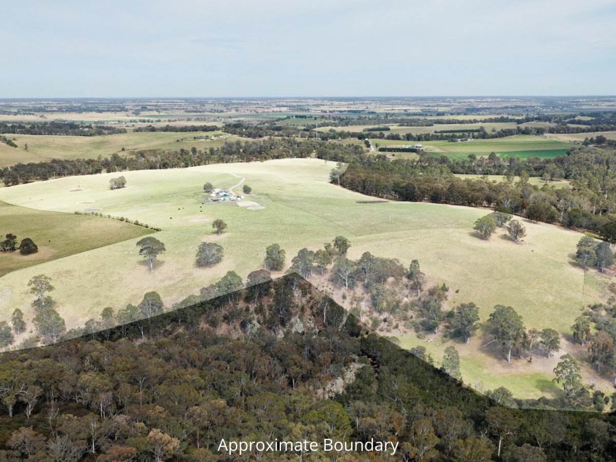 710 Hodges Estate Road, Calulu For Sale by Farmbuy.com - image 3