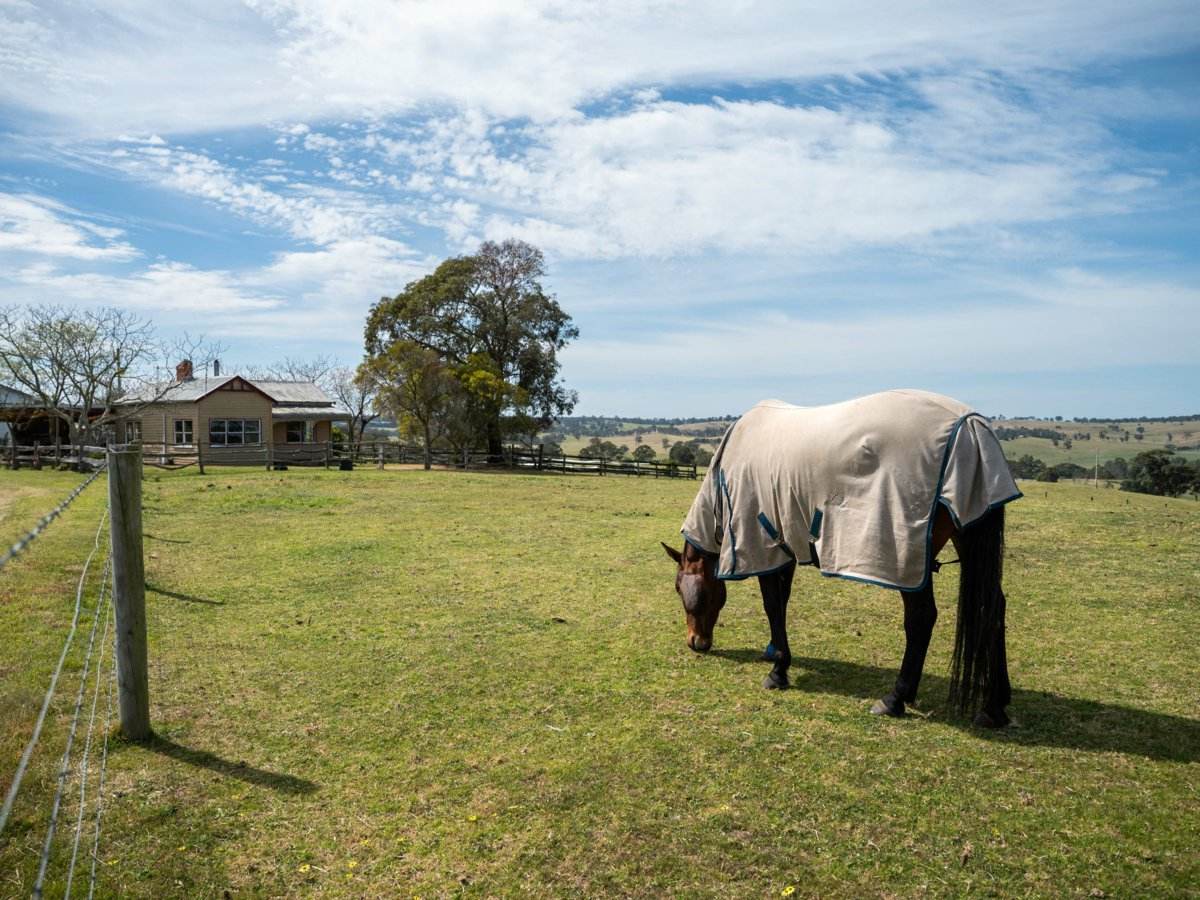 710 Hodges Estate Road, Calulu For Sale by Farmbuy.com - image 23