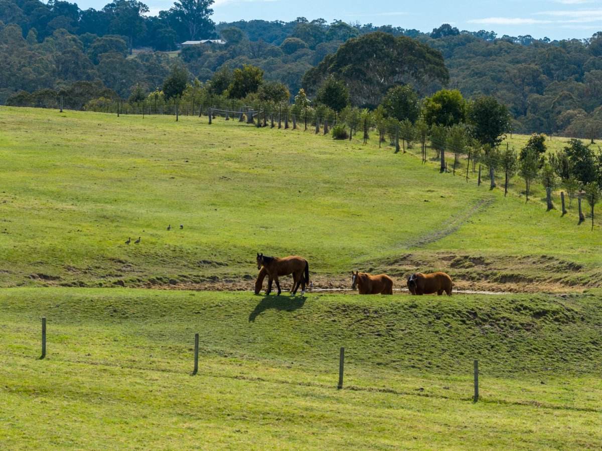 710 Hodges Estate Road, Calulu For Sale by Farmbuy.com - image 22