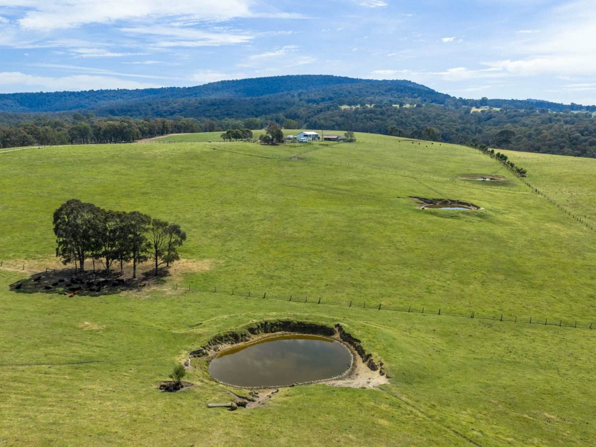 710 Hodges Estate Road, Calulu For Sale by Farmbuy.com - image 20