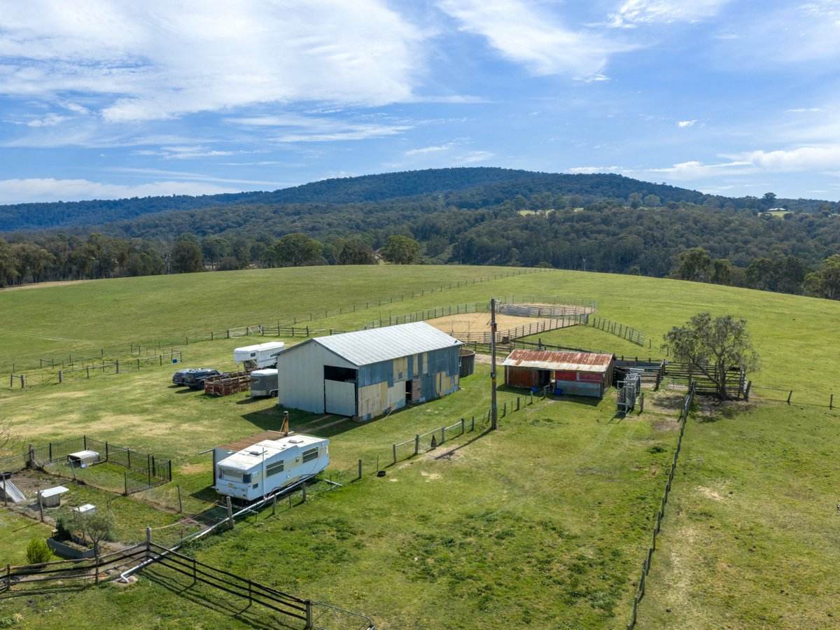 710 Hodges Estate Road, Calulu For Sale by Farmbuy.com - image 17
