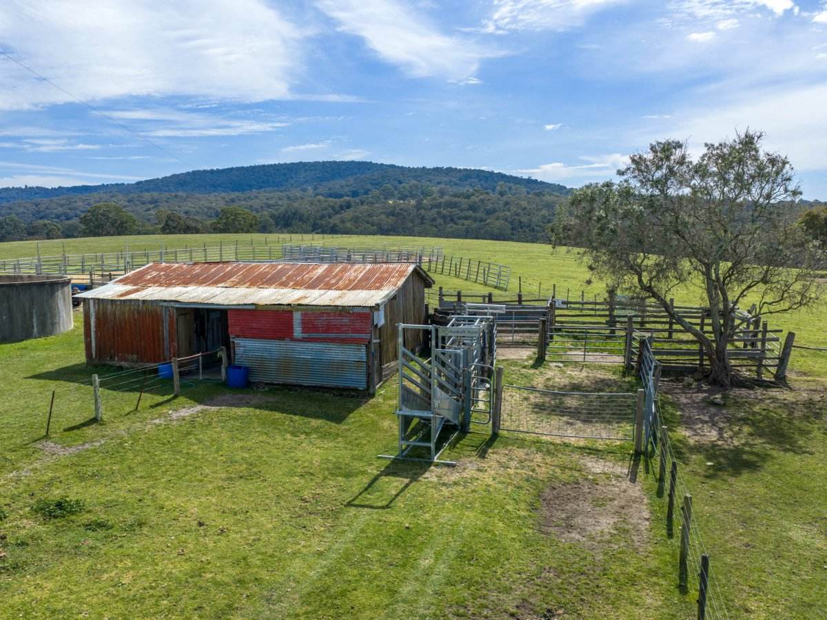 710 Hodges Estate Road, Calulu For Sale by Farmbuy.com - image 18
