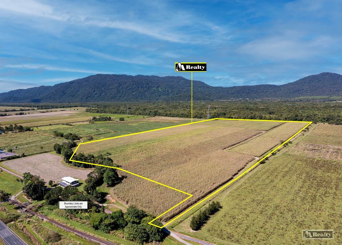 Bellenden Ker For Sale by Farmbuy.com - image 2