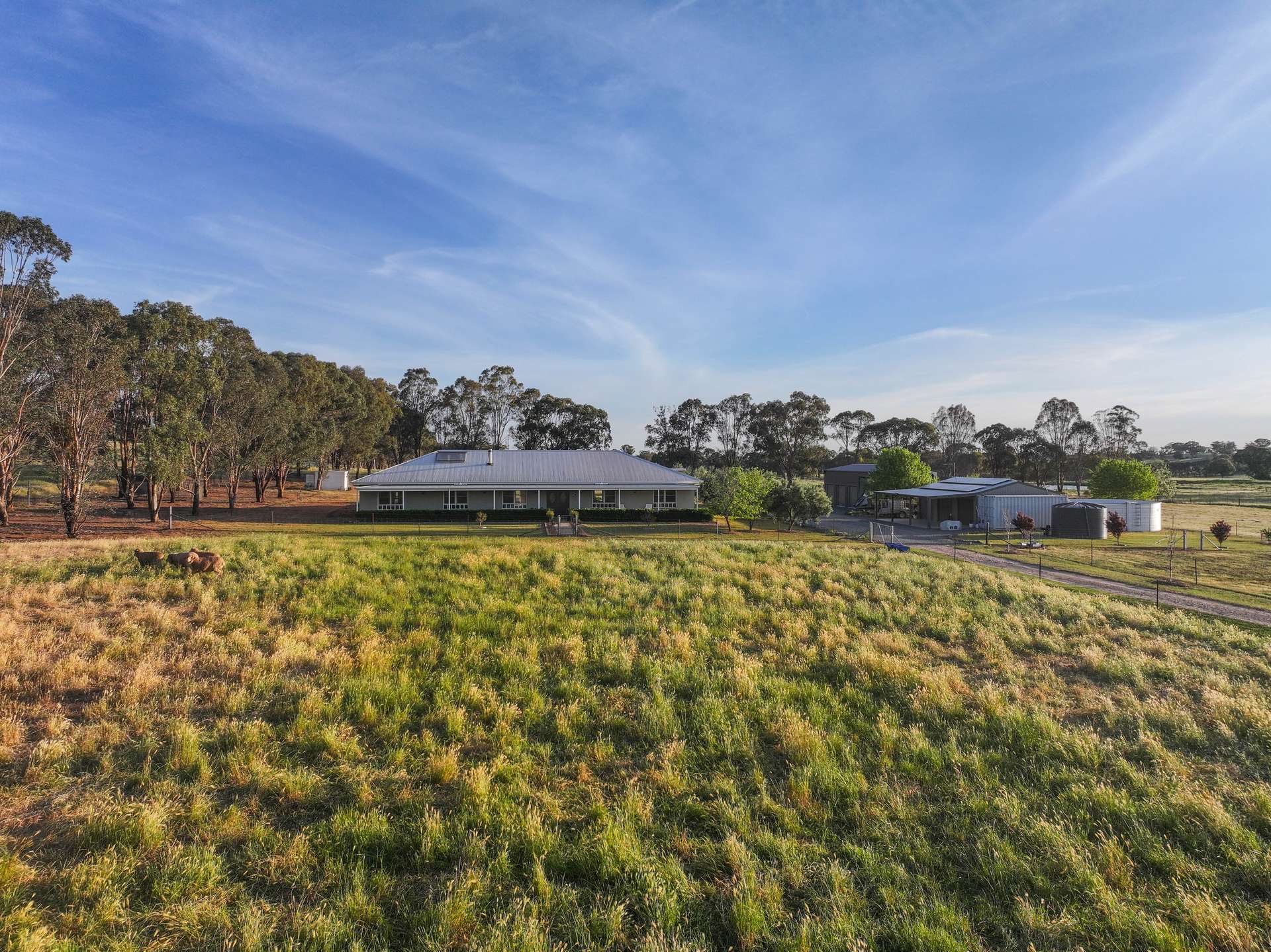 542 Cookamidgera Road, Parkes Auction by Farmbuy.com - image 27