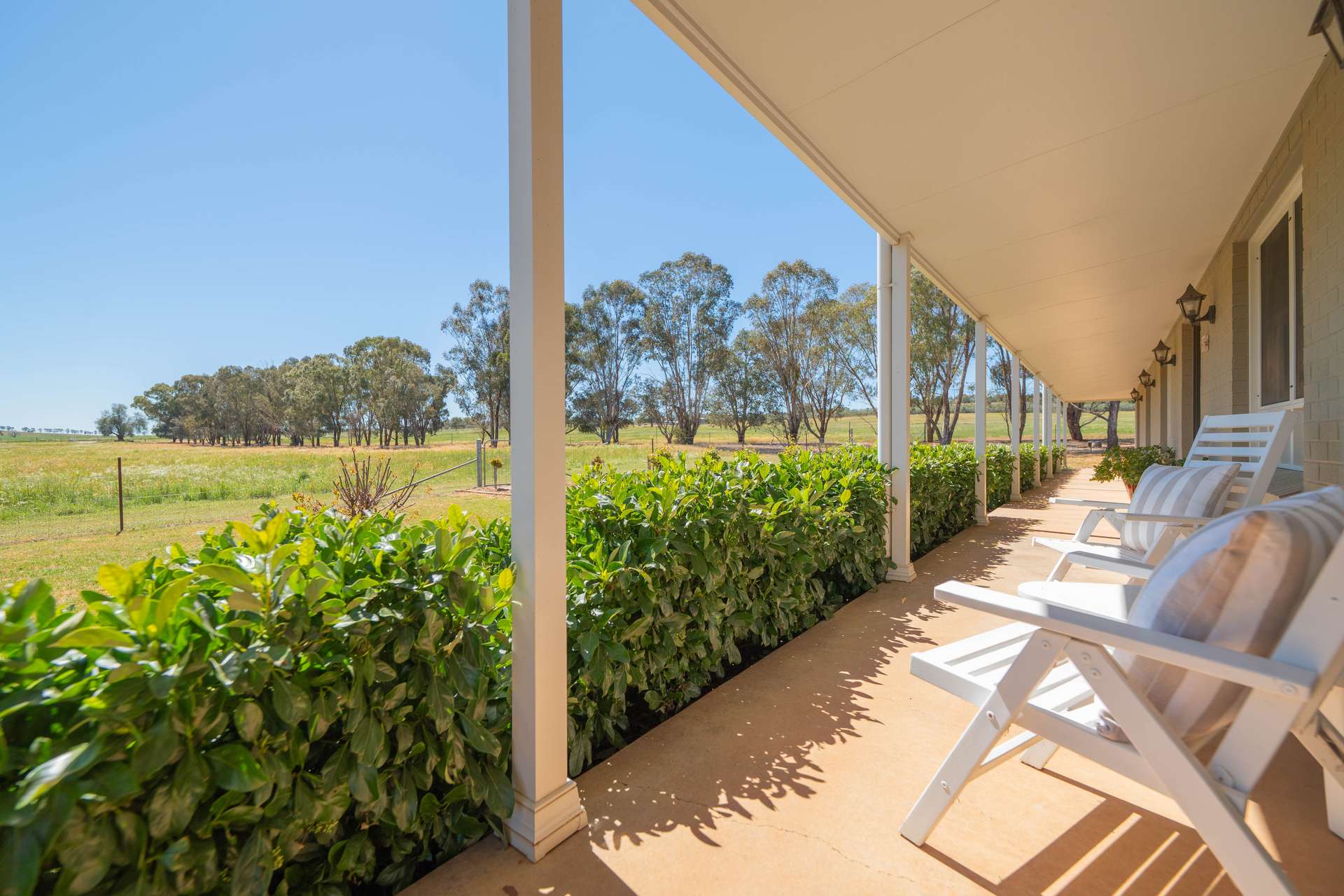 542 Cookamidgera Road, Parkes Auction by Farmbuy.com - image 7