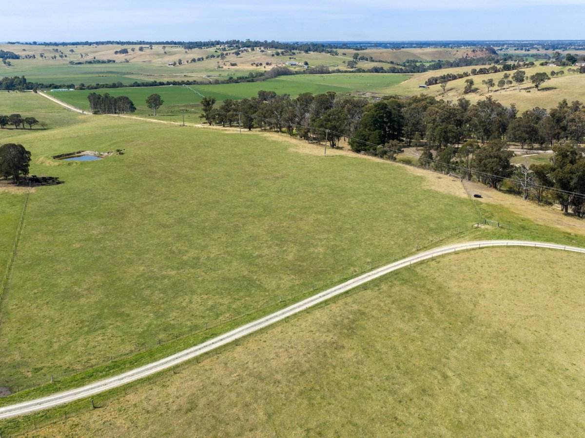 680 Hodges Estate Road, Calulu For Sale by Farmbuy.com - image 3