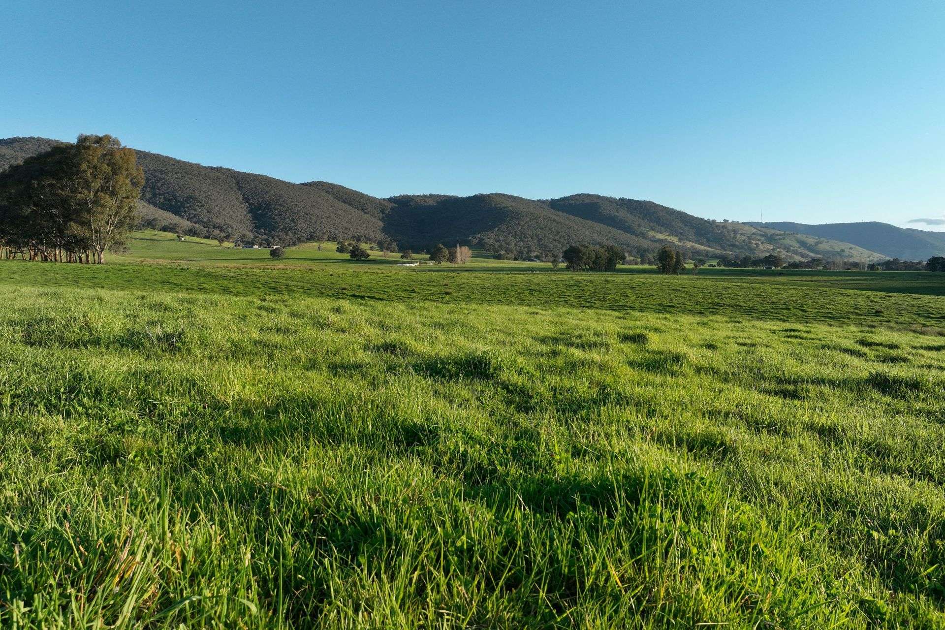 Lot 2/126 Boyes Road, Leneva Auction by Farmbuy.com - image 8