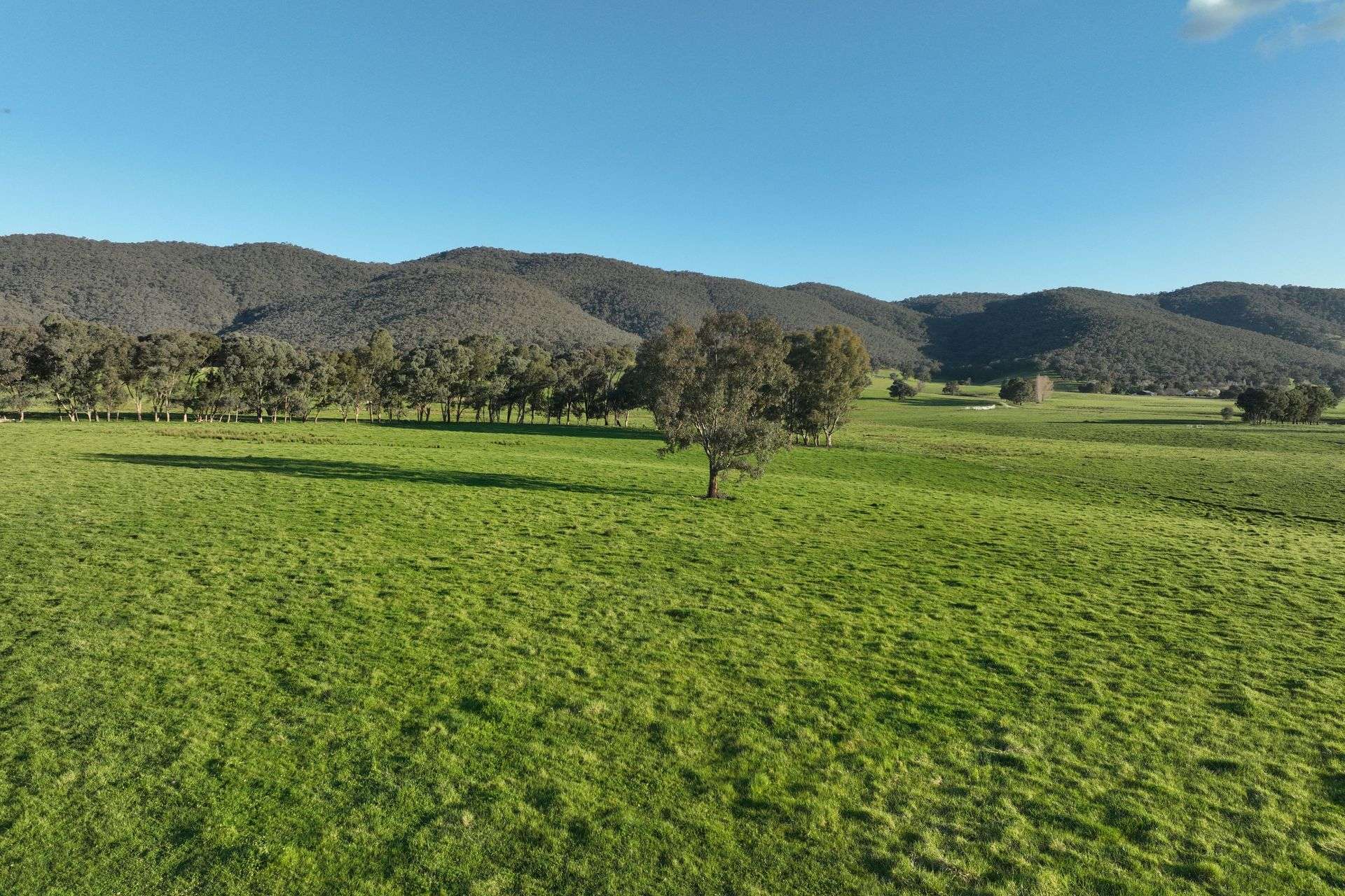 Lot 2/126 Boyes Road, Leneva Auction by Farmbuy.com - image 12
