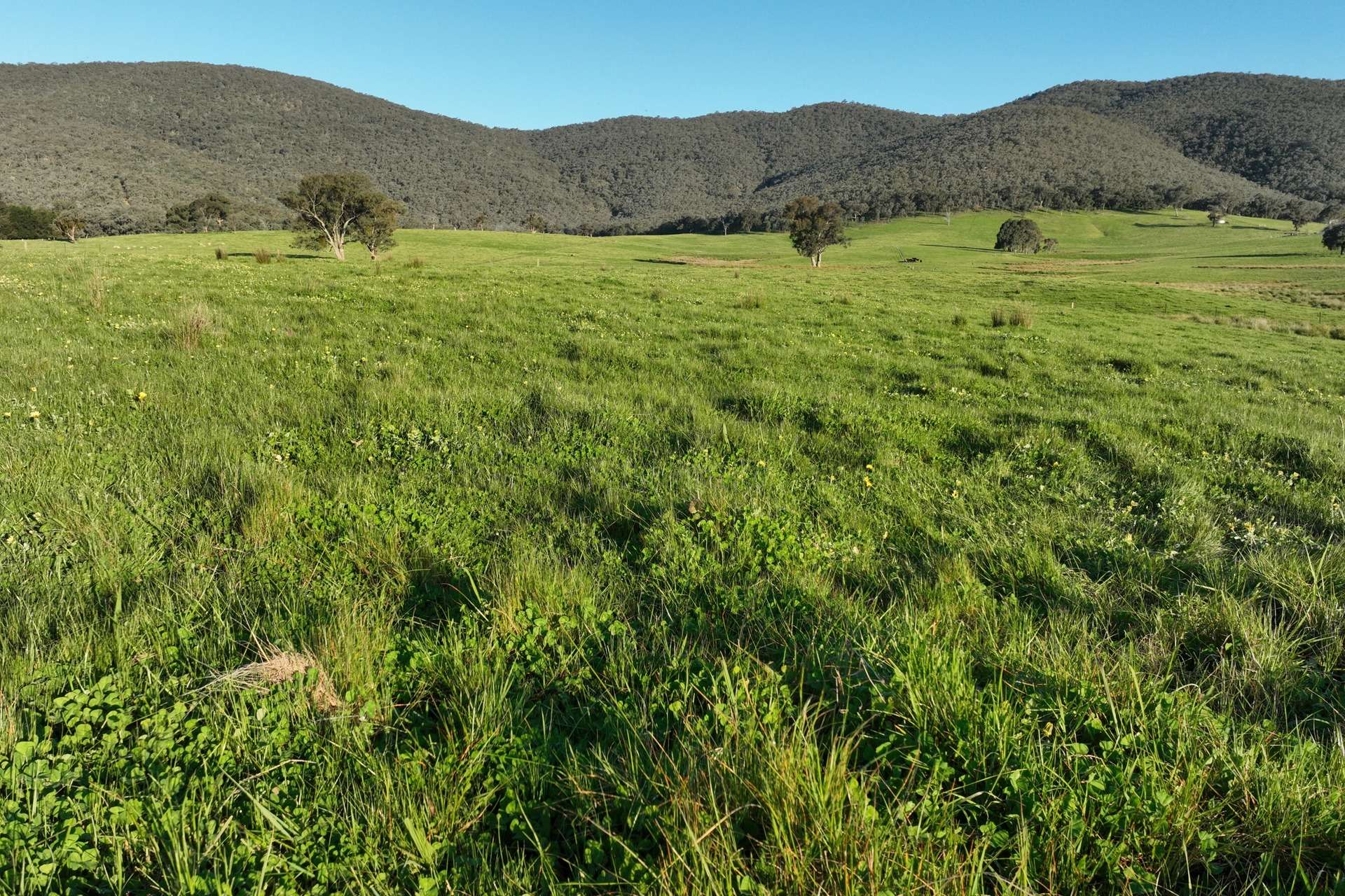 Lot 2/126 Boyes Road, Leneva Auction by Farmbuy.com - image 13