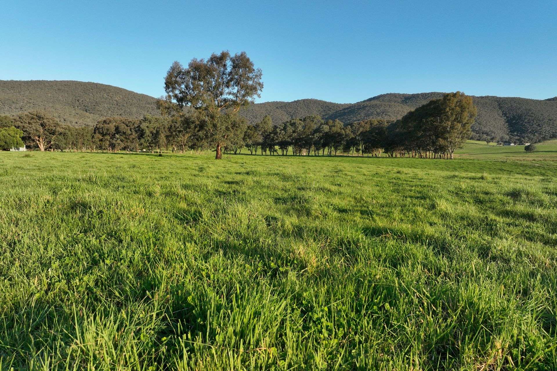 Lot 2/126 Boyes Road, Leneva Auction by Farmbuy.com - image 5