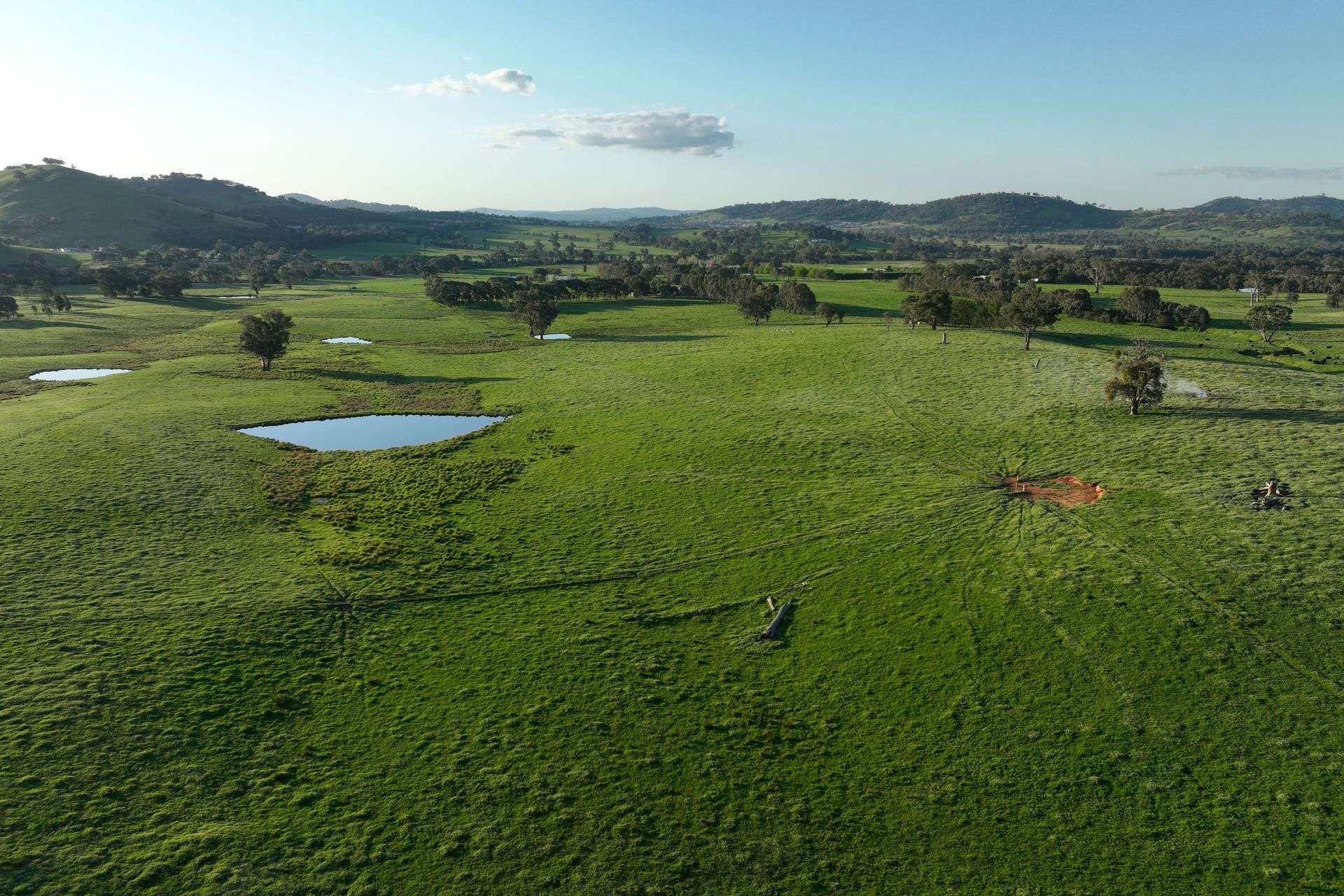 Lot 2/126 Boyes Road, Leneva Auction by Farmbuy.com - image 14