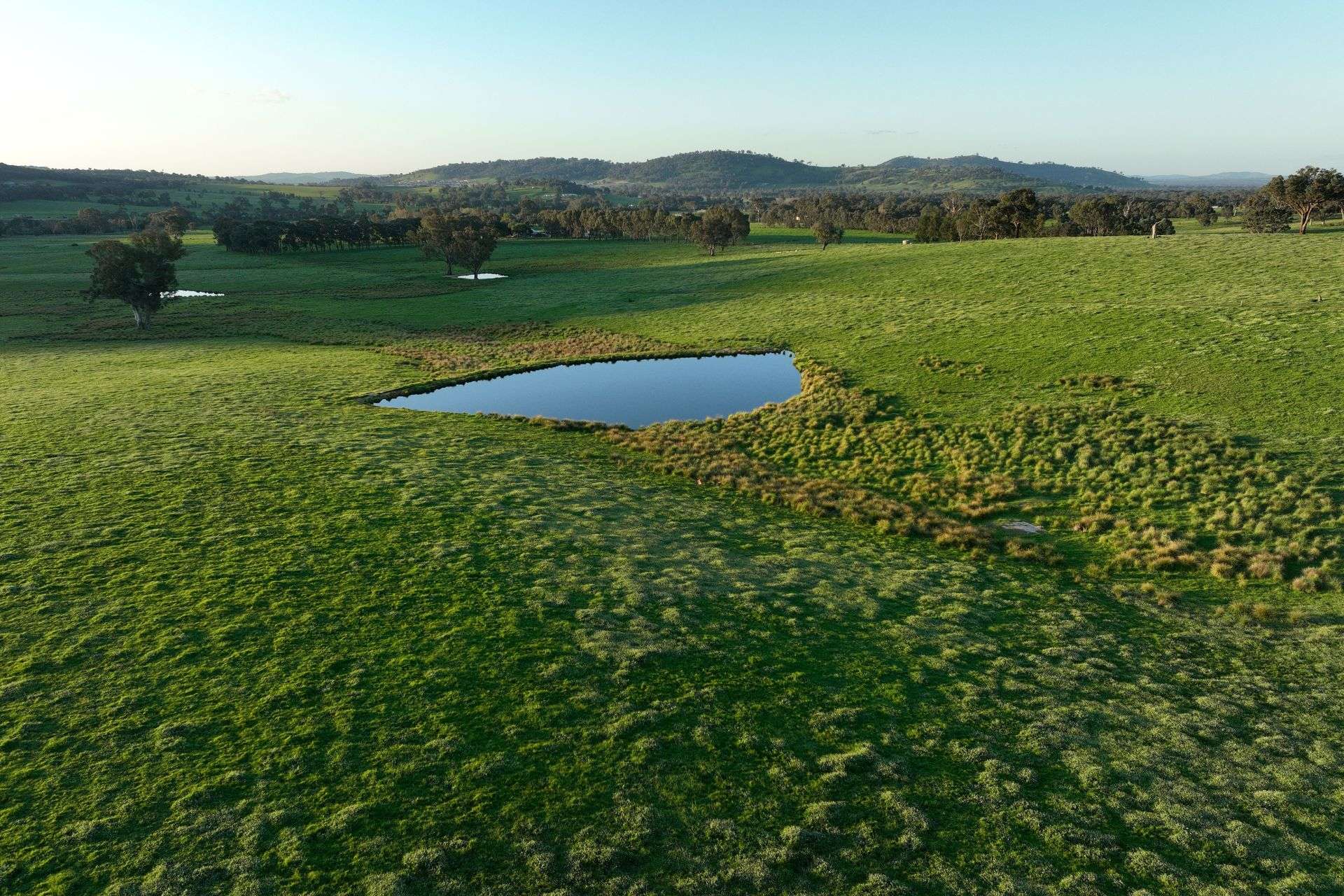 Lot 2/126 Boyes Road, Leneva Auction by Farmbuy.com - image 10