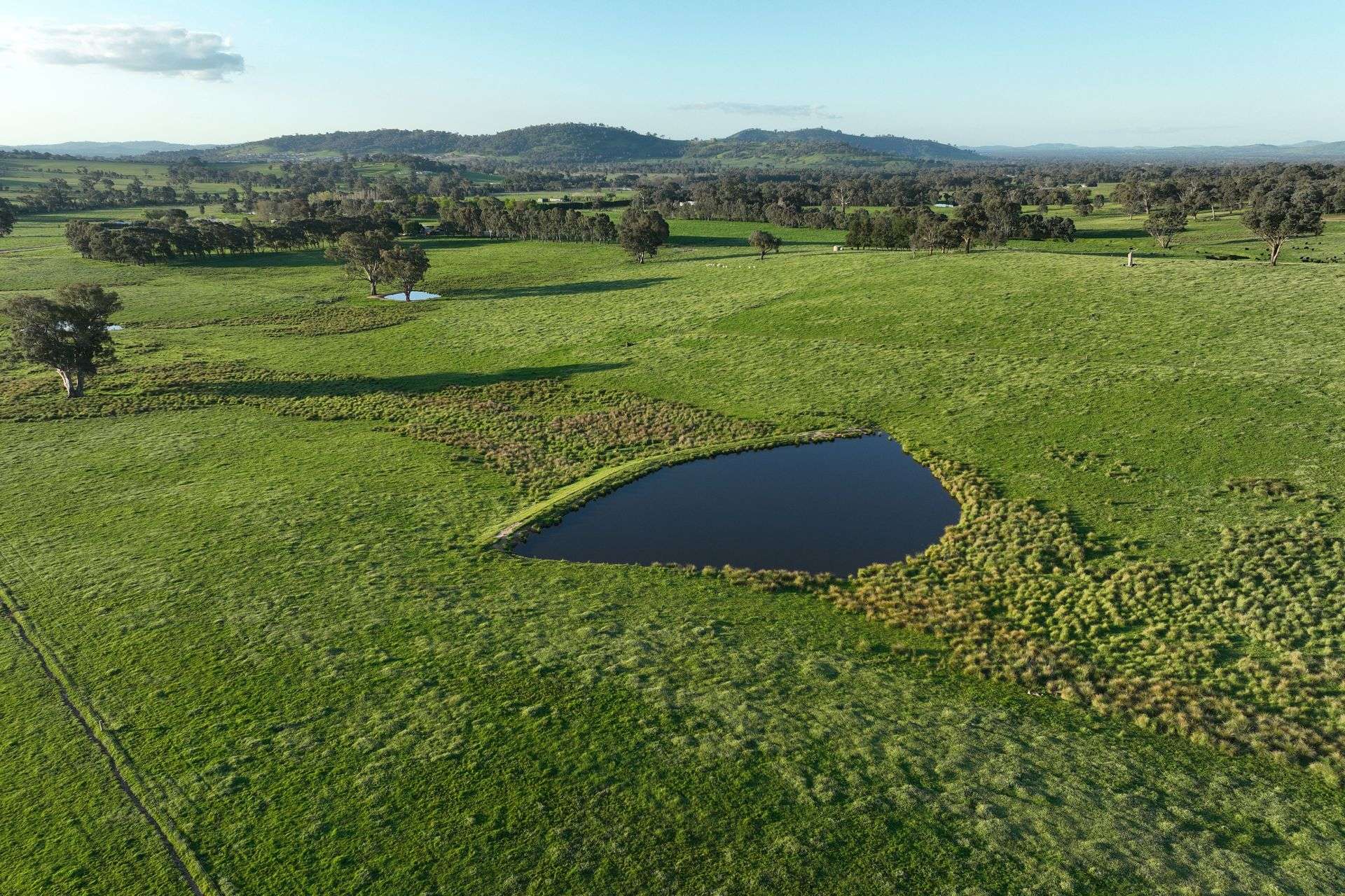 Lot 2/126 Boyes Road, Leneva Auction by Farmbuy.com - image 6