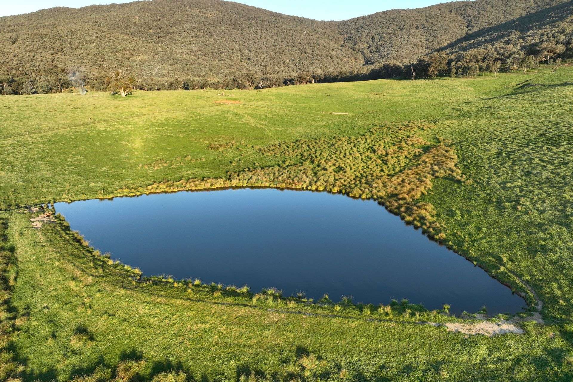 Lot 2/126 Boyes Road, Leneva Auction by Farmbuy.com - image 7