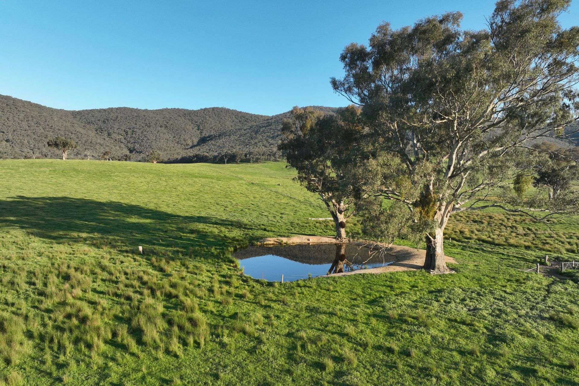 Lot 2/126 Boyes Road, Leneva Auction by Farmbuy.com - image 4