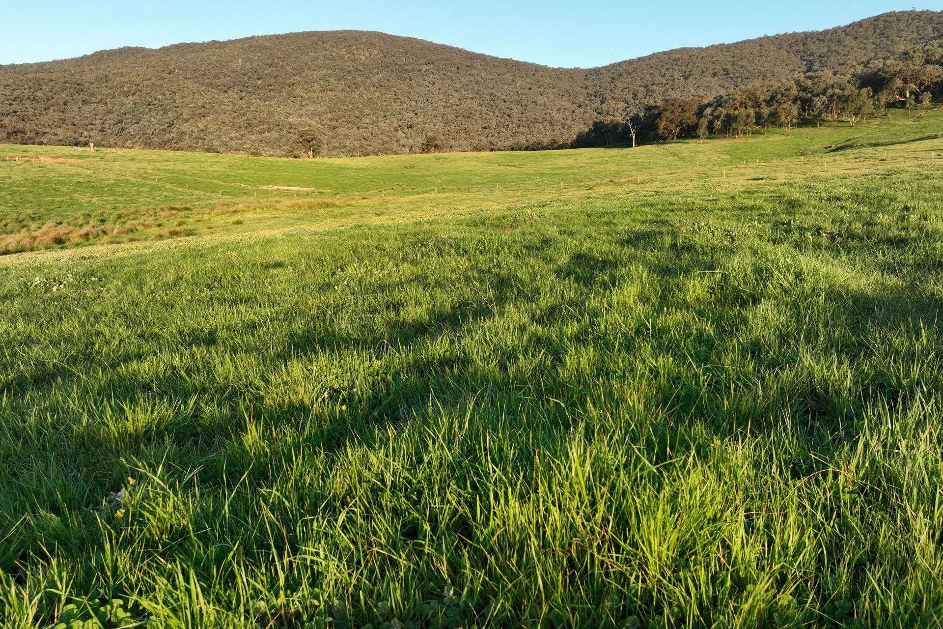 Lot 2/126 Boyes Road, Leneva Auction by Farmbuy.com - image 9