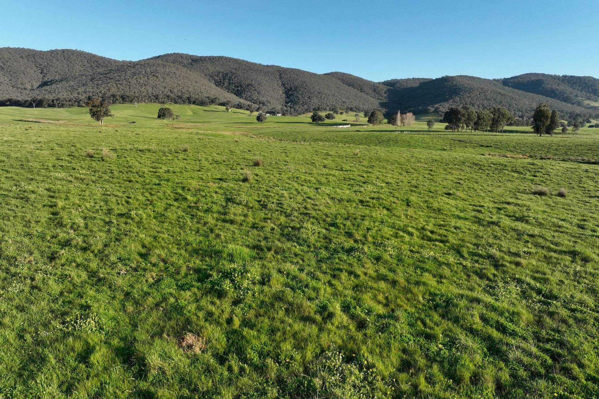 Lot 2/126 Boyes Road, Leneva Auction by Farmbuy.com - image 11