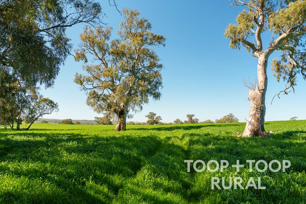 Lot 500&comma; Cemetery Road, Taunton SA 5235