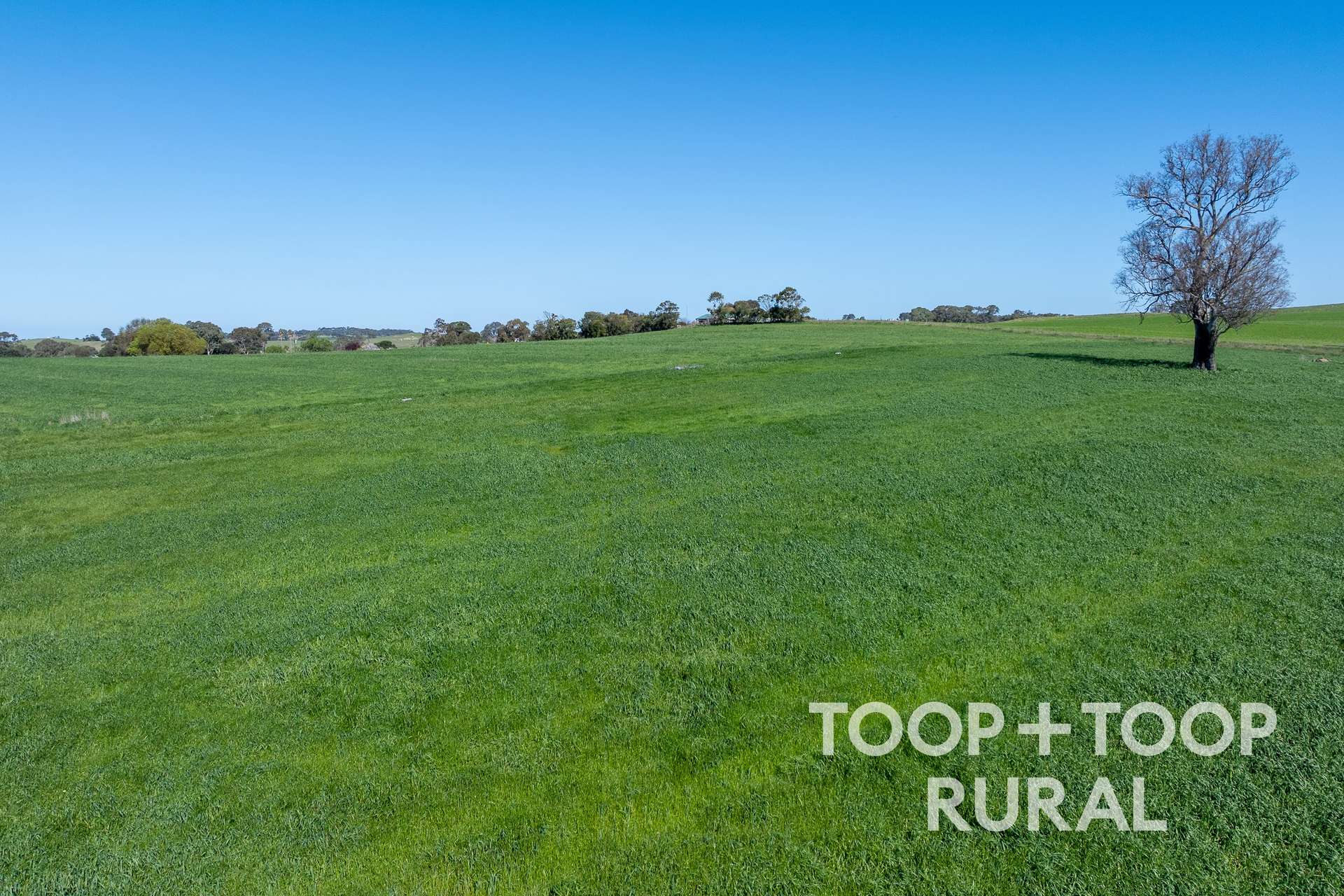 Lot 500,  Cemetery Road, Taunton For Sale by Farmbuy.com - image 10
