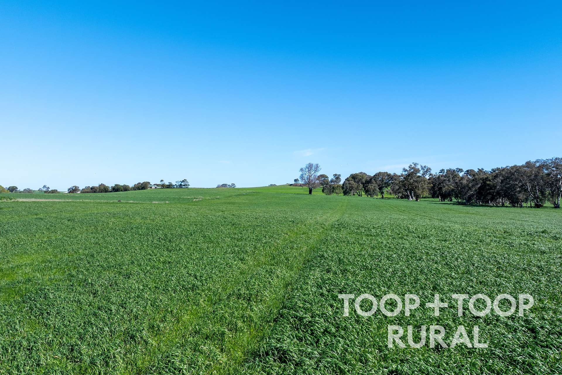 Lot 500,  Cemetery Road, Taunton For Sale by Farmbuy.com - image 5
