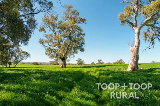 Lot 500&comma; Cemetery Road, Taunton SA 5235