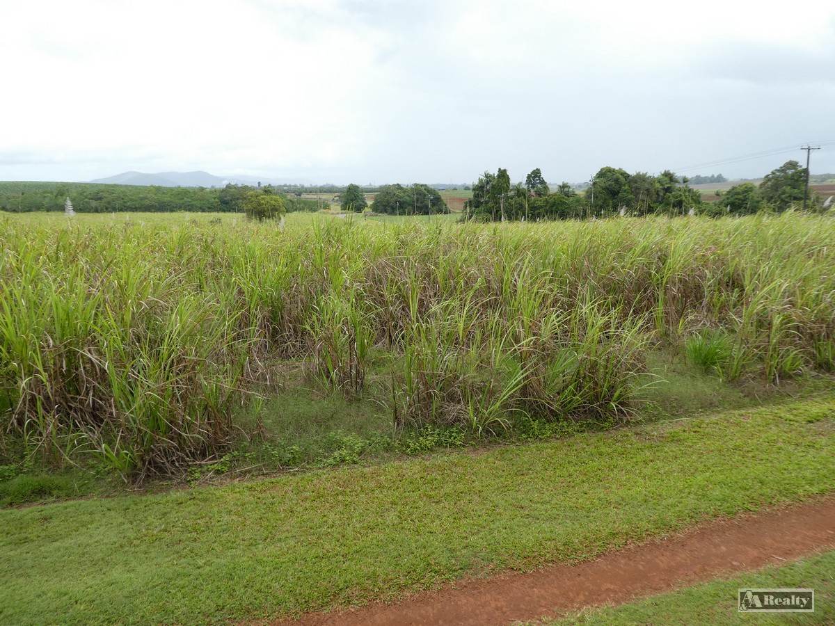 Bamboo Creek For Sale by Farmbuy.com - image 3