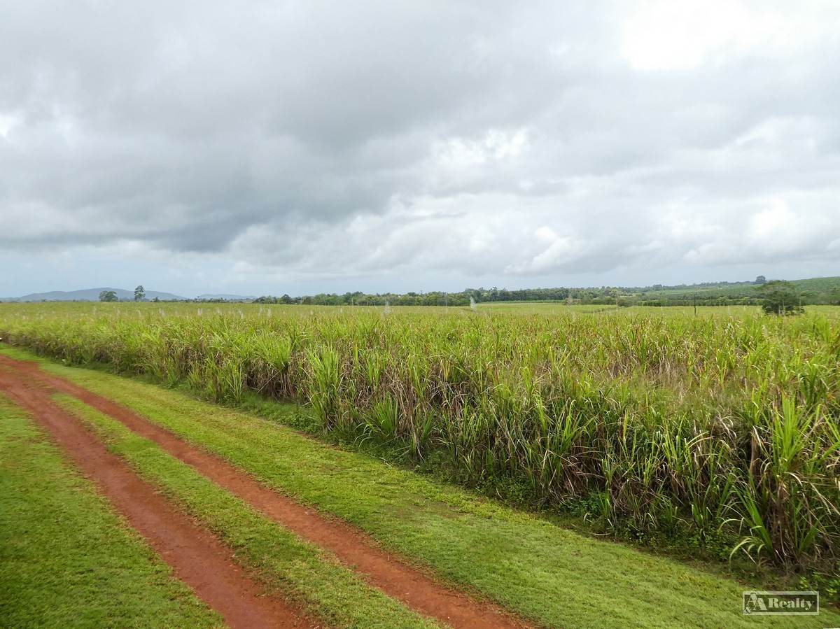 Bamboo Creek For Sale by Farmbuy.com - image 1