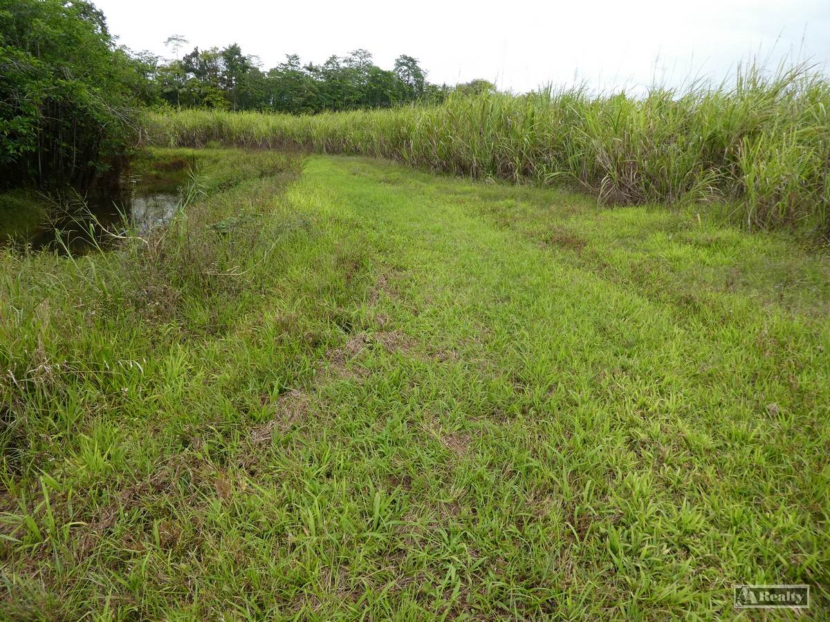 Bamboo Creek For Sale by Farmbuy.com - image 5