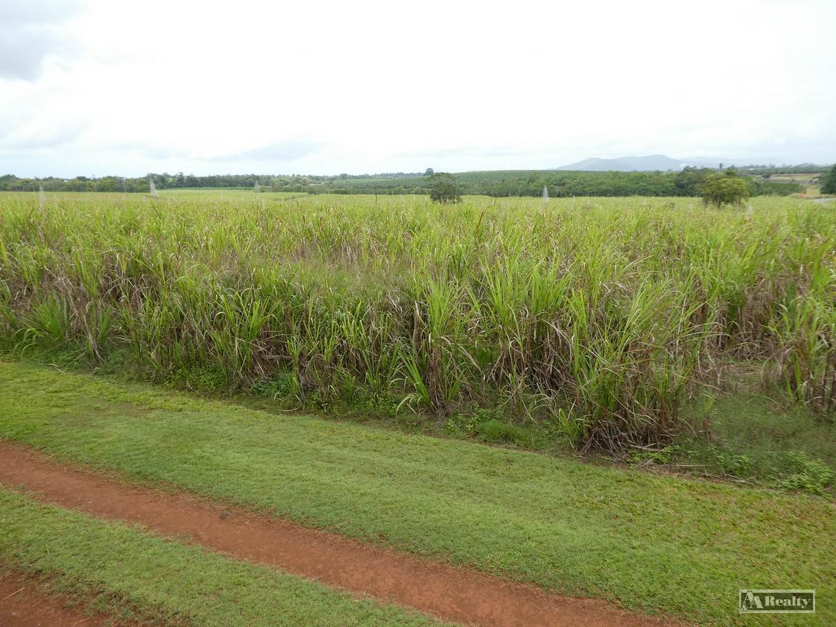Bamboo Creek For Sale by Farmbuy.com - image 2