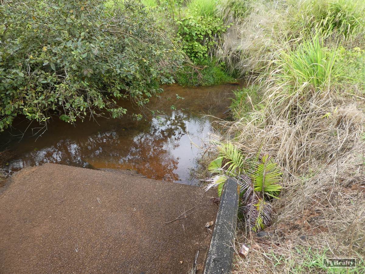 Bamboo Creek For Sale by Farmbuy.com - image 8