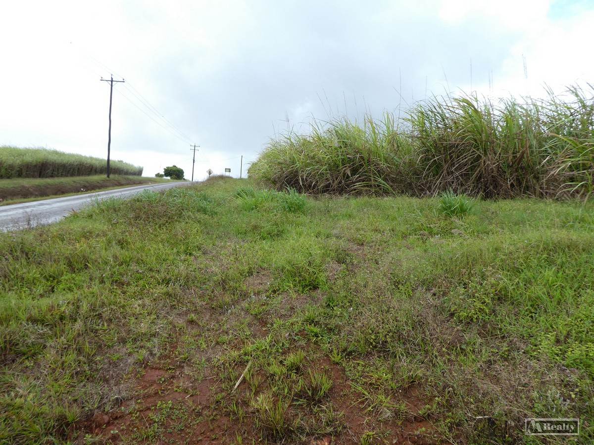 Bamboo Creek For Sale by Farmbuy.com - image 9