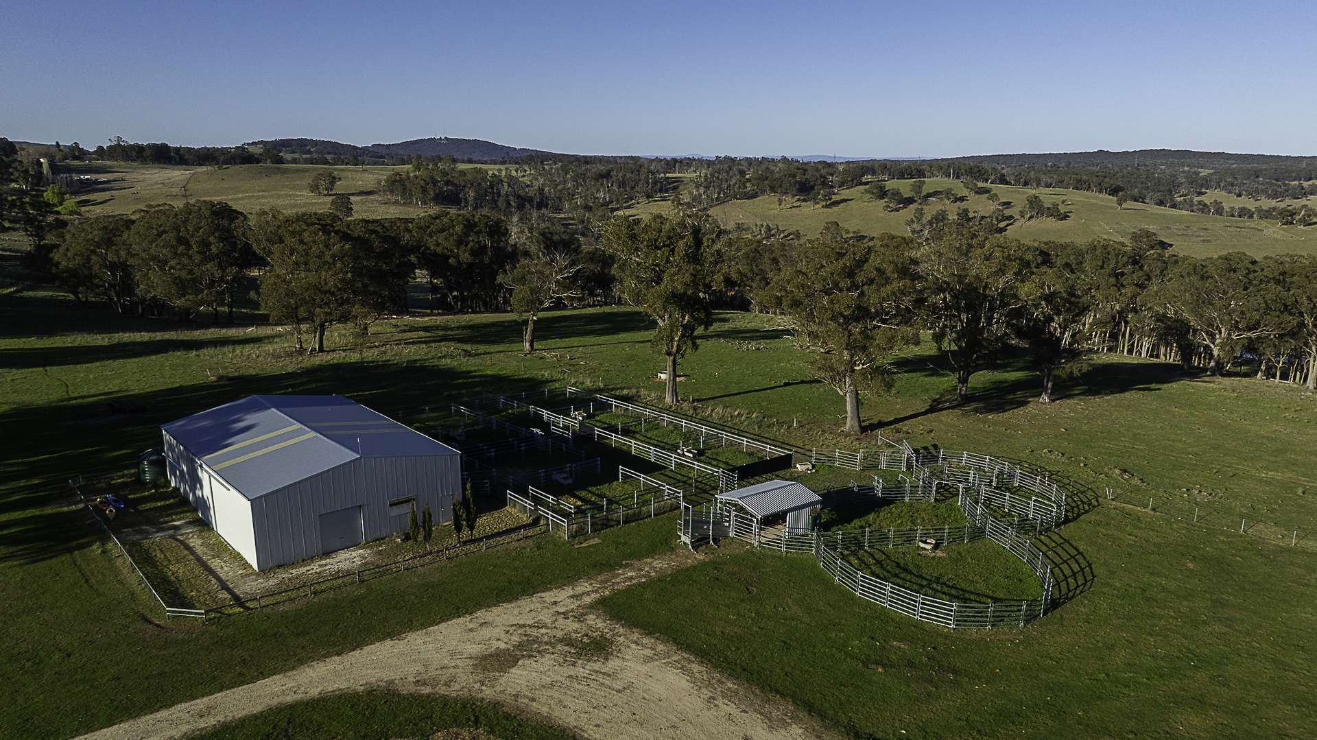 "Myola" 278 Toms Gully Road, Black Mountain Auction by Farmbuy.com - image 2
