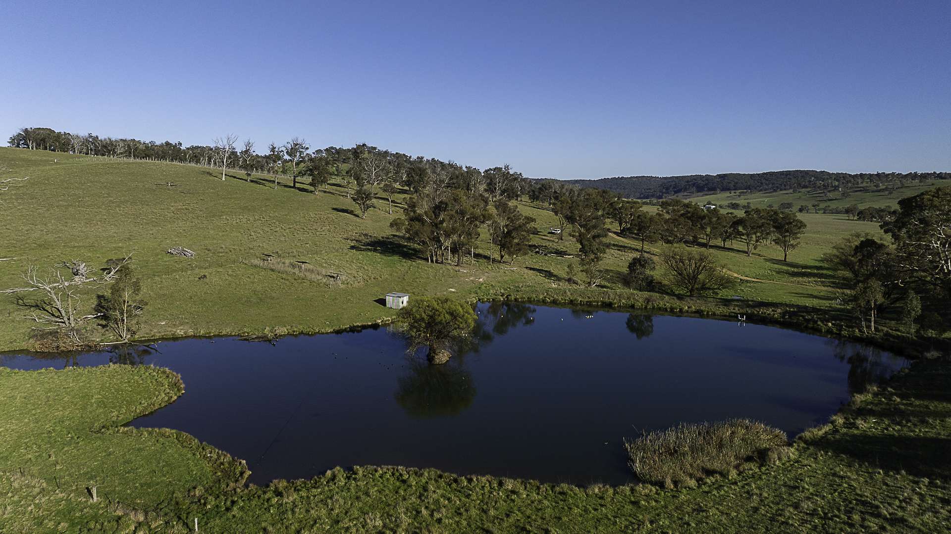 "Myola" 278 Toms Gully Road, Black Mountain Auction by Farmbuy.com - image 3