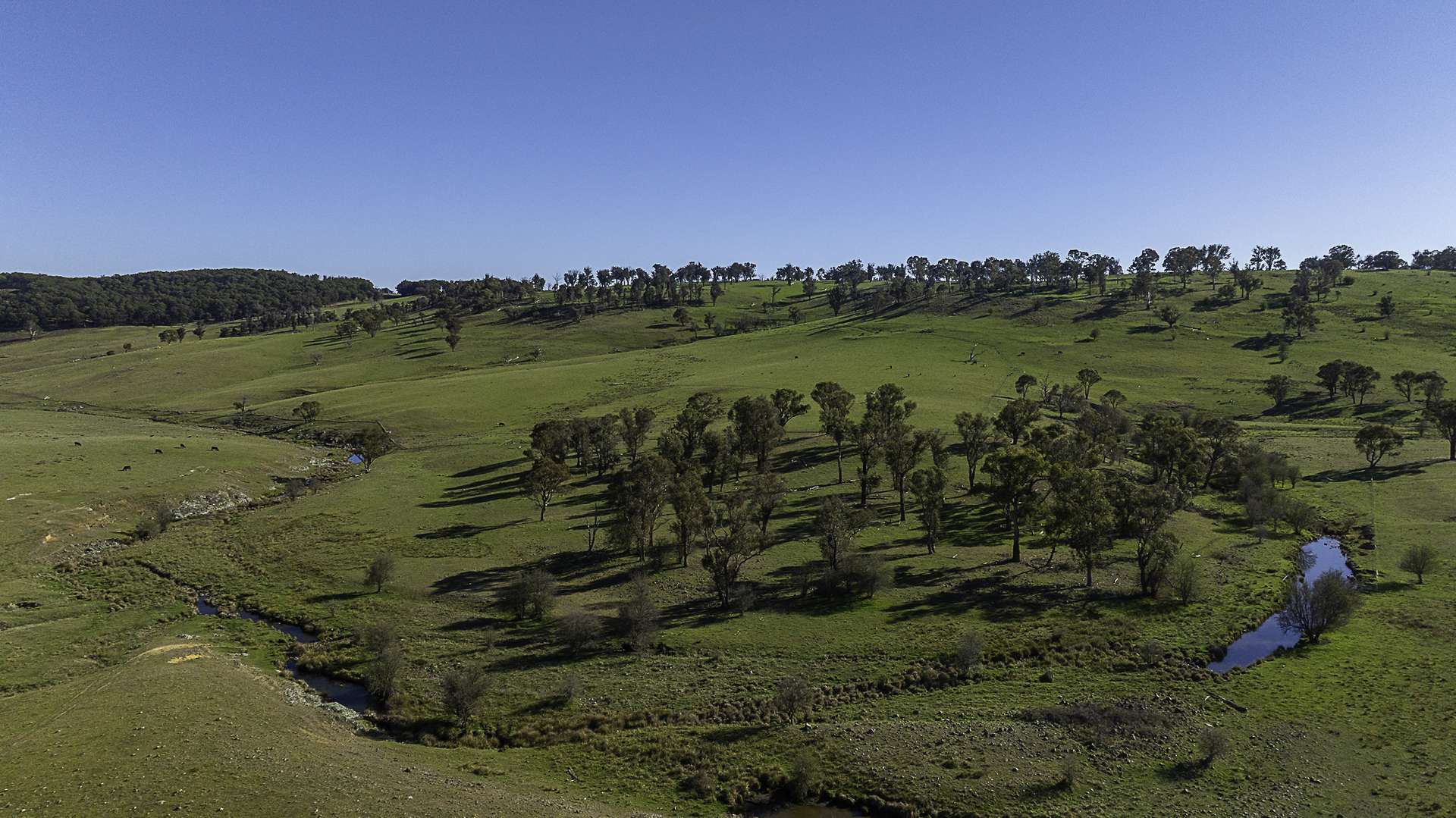 "Myola" 278 Toms Gully Road, Black Mountain Auction by Farmbuy.com - image 23