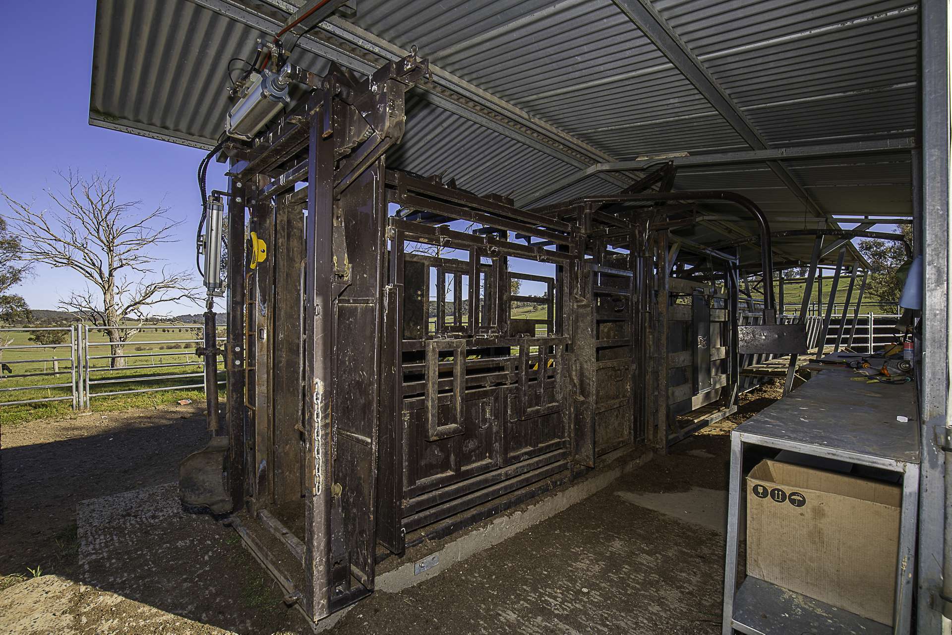 "Myola" 278 Toms Gully Road, Black Mountain Auction by Farmbuy.com - image 25