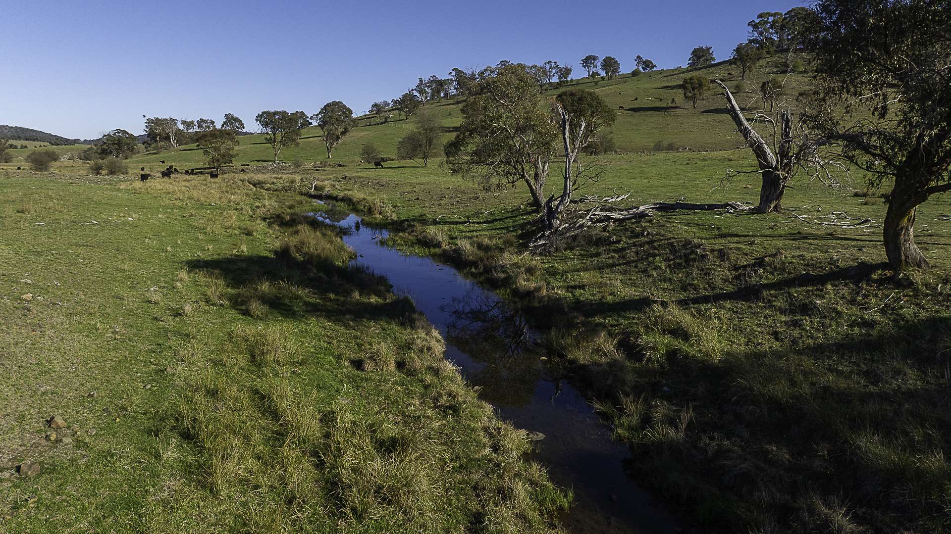 "Myola" 278 Toms Gully Road, Black Mountain Auction by Farmbuy.com - image 21