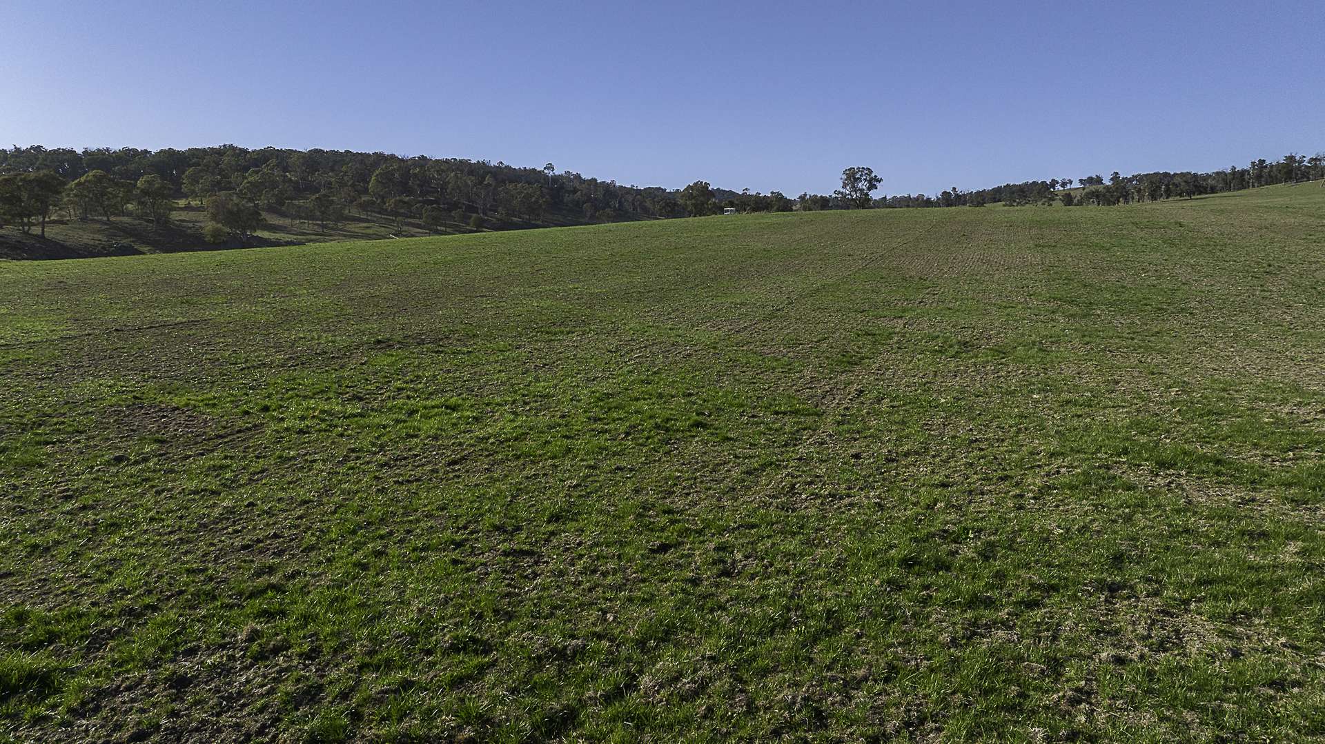 "Myola" 278 Toms Gully Road, Black Mountain Auction by Farmbuy.com - image 26
