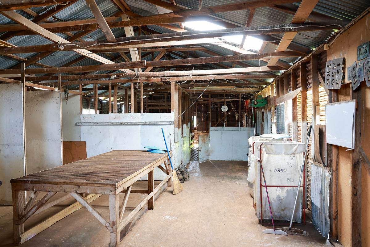 'The Paddock' Warrnambool-Caramut Road, Woolsthorpe For Sale by Farmbuy.com - image 7