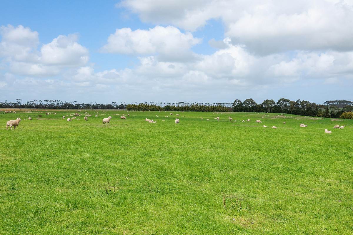 'The Paddock' Warrnambool-Caramut Road, Woolsthorpe For Sale by Farmbuy.com - image 14