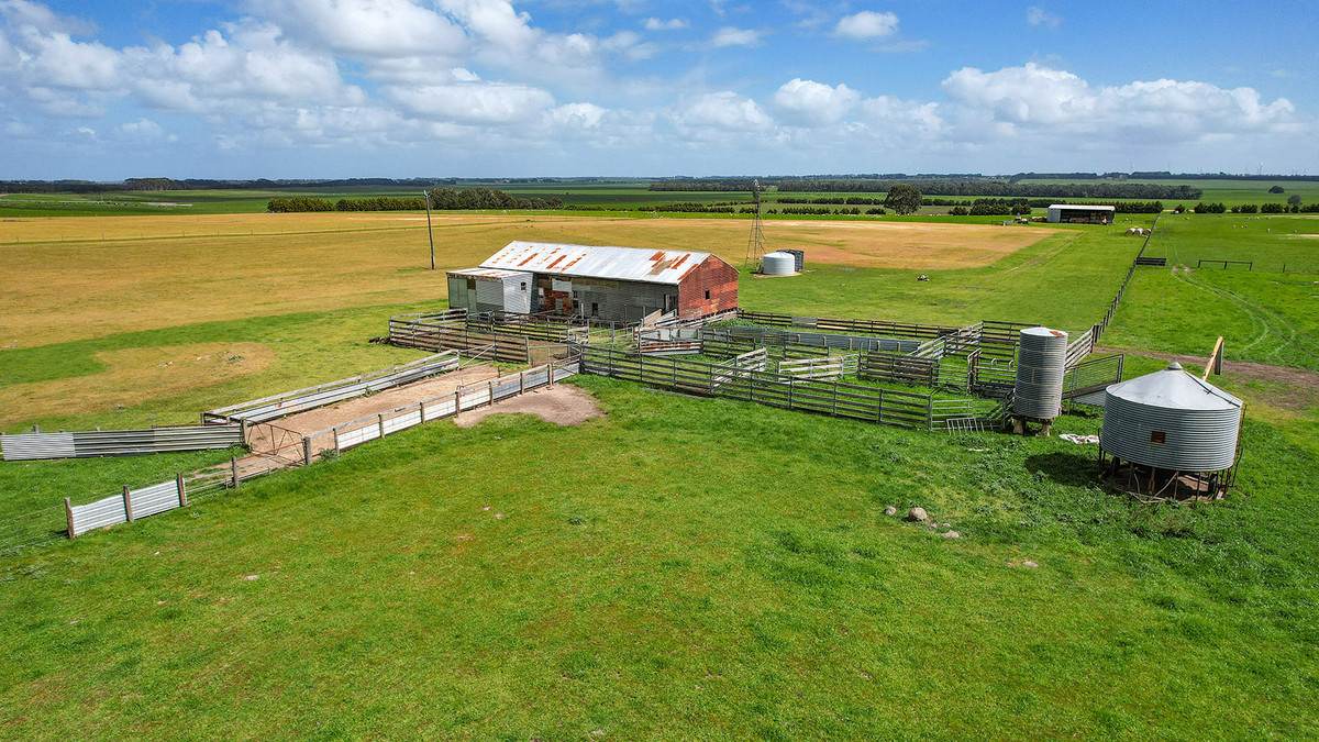 'The Paddock' Warrnambool-Caramut Road, Woolsthorpe For Sale by Farmbuy.com - image 4