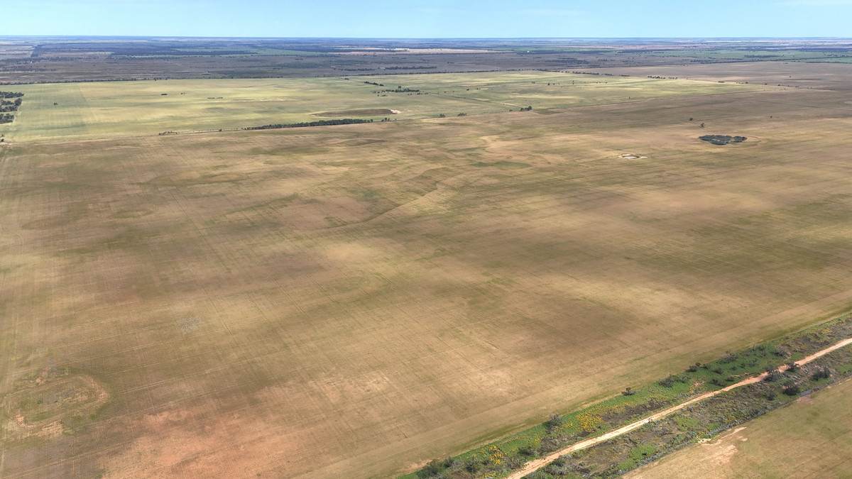 50 Parish Of Benetook, Pirlta North, Merrinee For Sale by Farmbuy.com - image 6