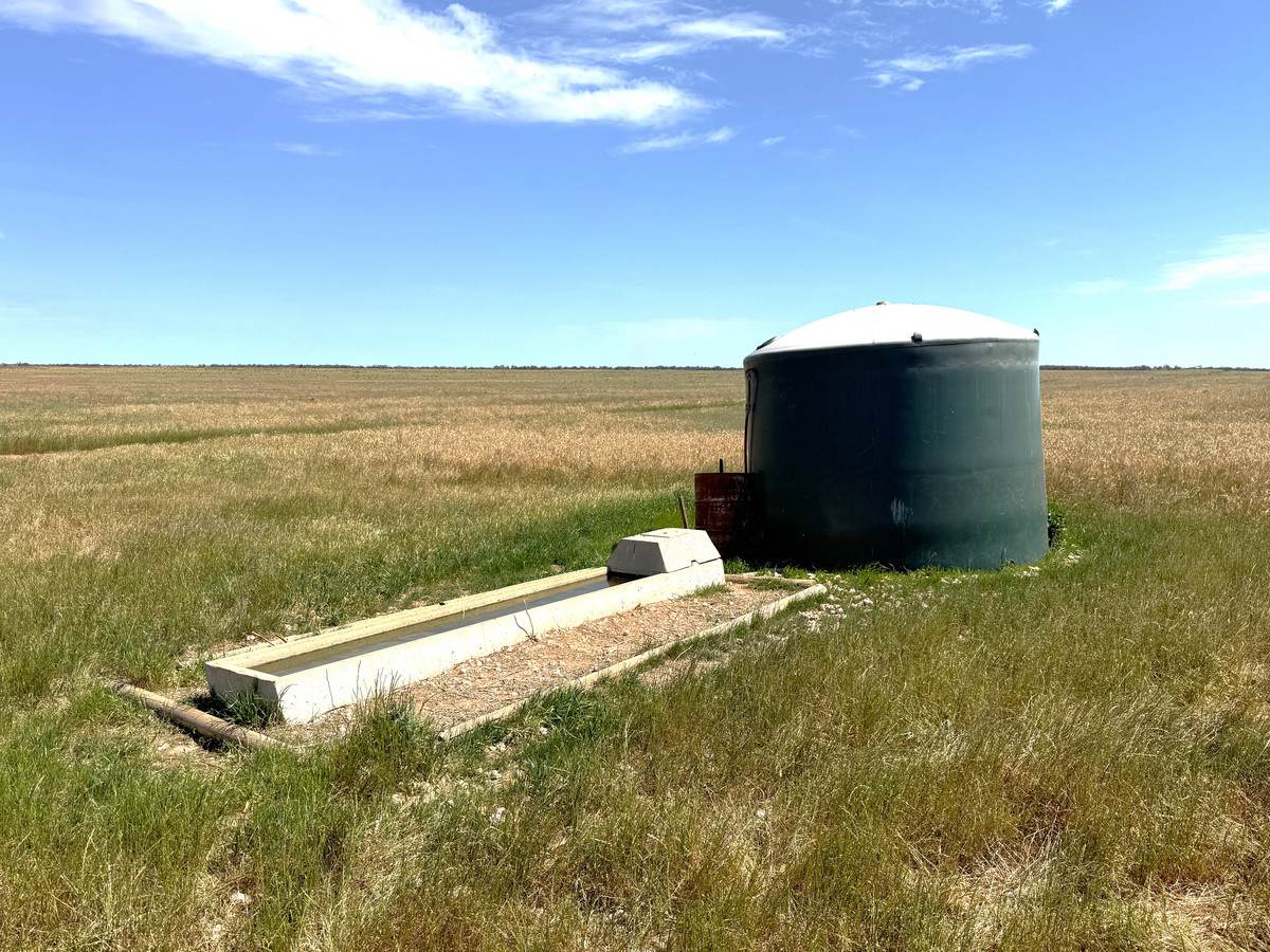50 Parish Of Benetook, Pirlta North, Merrinee For Sale by Farmbuy.com - image 23