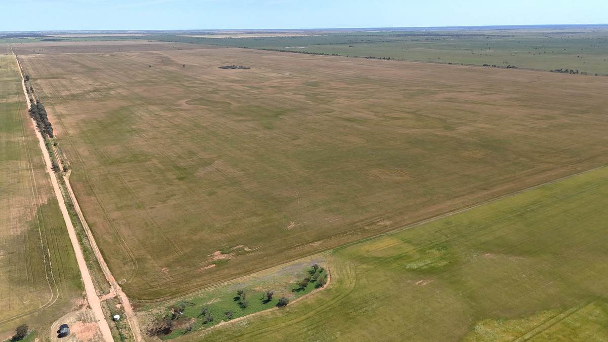 50 Parish Of Benetook, Pirlta North, Merrinee For Sale by Farmbuy.com - image 1