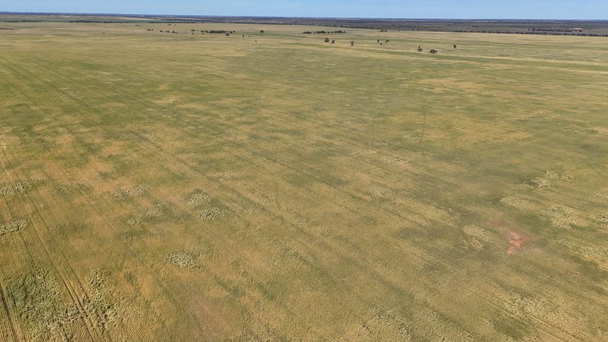 50 Parish Of Benetook, Pirlta North, Merrinee For Sale by Farmbuy.com - image 3