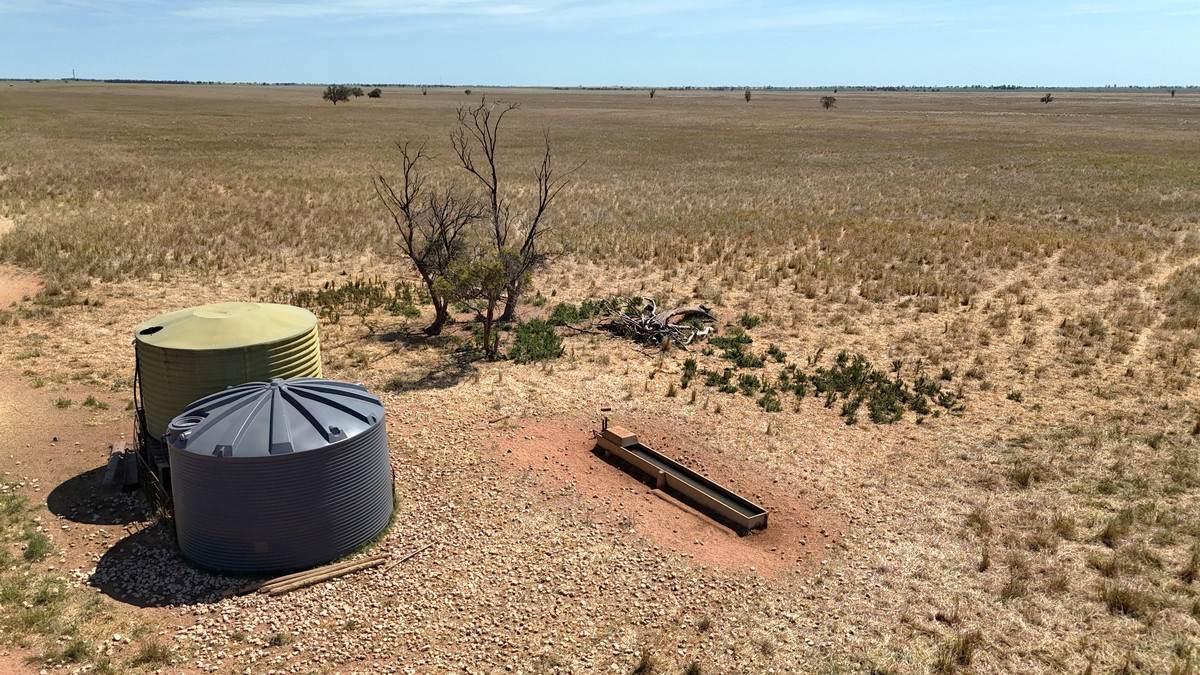 50 Parish Of Benetook, Pirlta North, Merrinee For Sale by Farmbuy.com - image 20