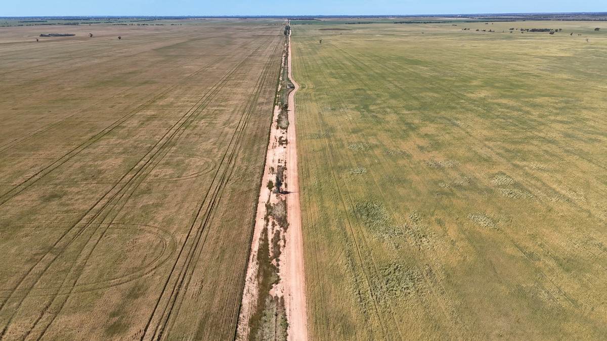 50 Parish Of Benetook, Pirlta North, Merrinee For Sale by Farmbuy.com - image 18