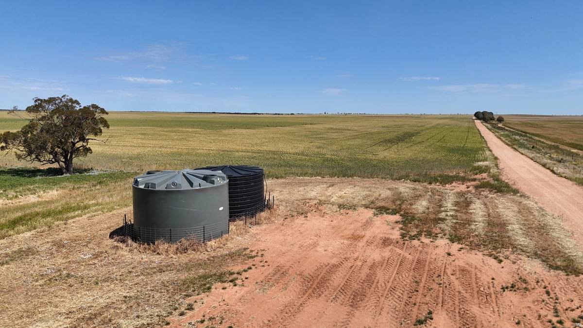 50 Parish Of Benetook, Pirlta North, Merrinee For Sale by Farmbuy.com - image 13