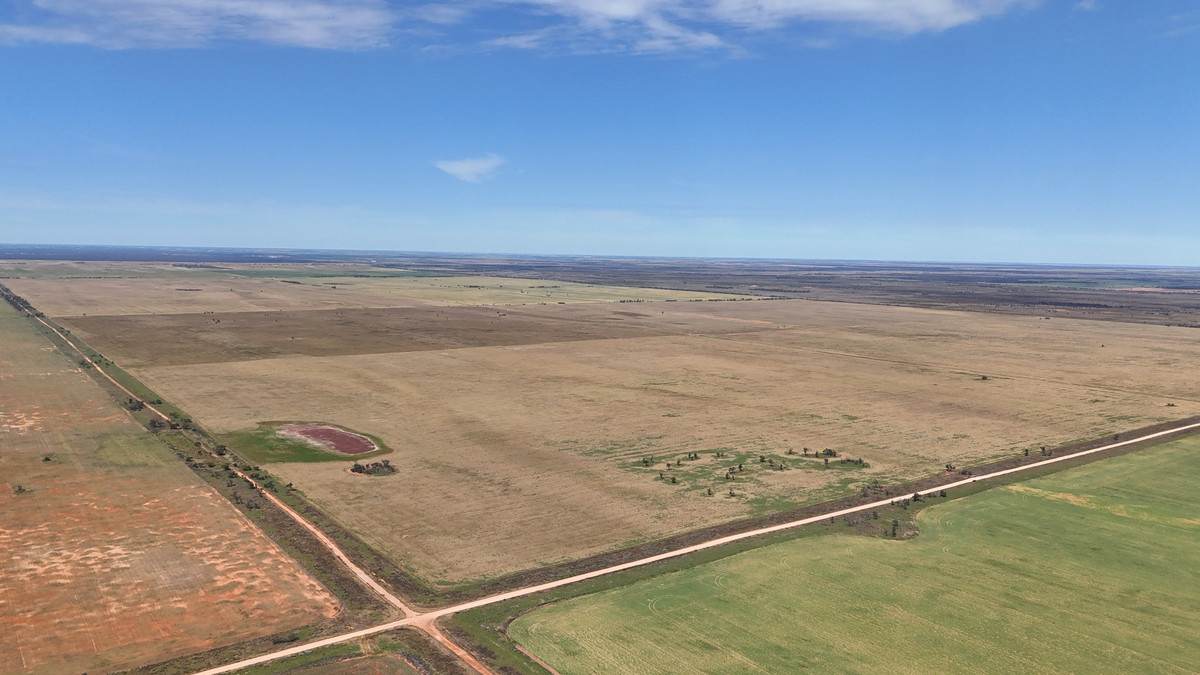 50 Parish Of Benetook, Pirlta North, Merrinee For Sale by Farmbuy.com - image 19